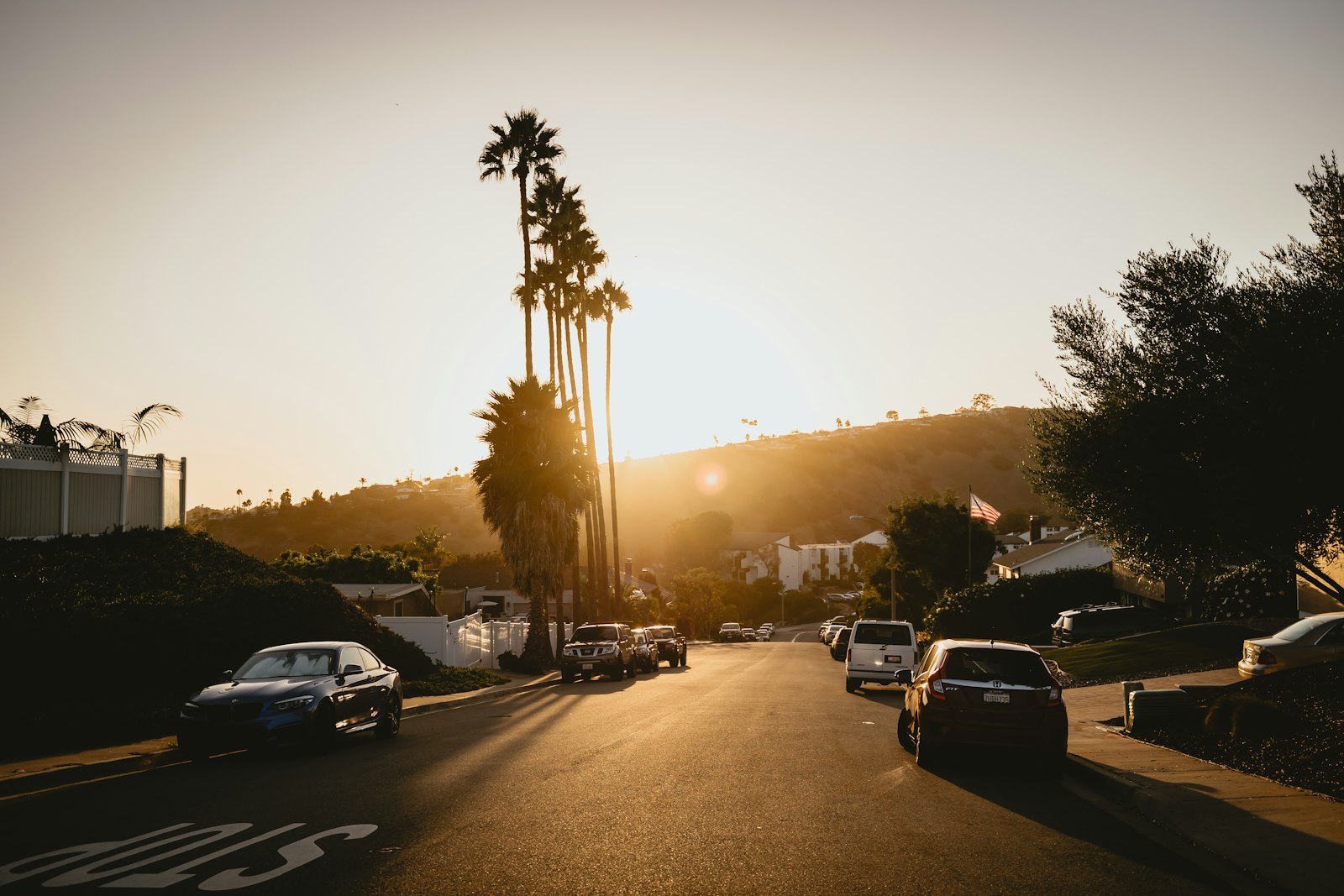 A Southern California residential street lined with palm trees at sunset